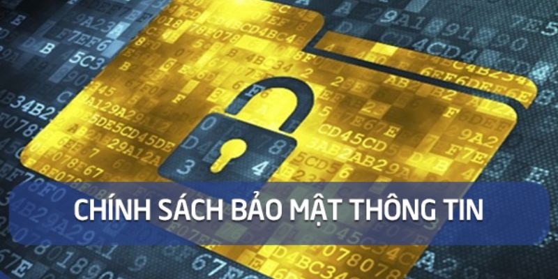 Chi tiết các nội dung có trong bản chính sách bảo mật của OKKING